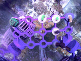 Magnetic Corner Frag Rack