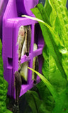 Magnetic Mini Zucchini feeder