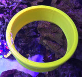 Top Down View Ring